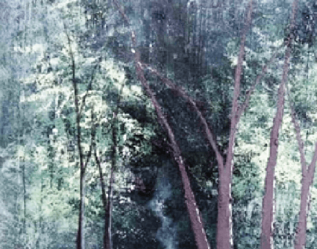 Celebration of colours, movements on canvas