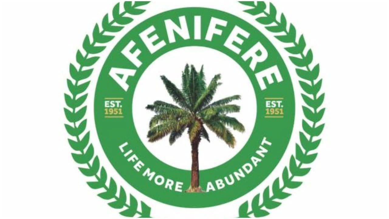 Afenifere decries rising 'terror attacks' in southwest states