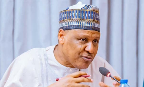 Jilli: FG orders full independent probe on Borno strike