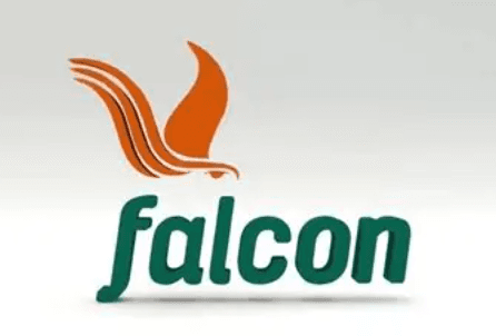 Firm to accelerate gas investments