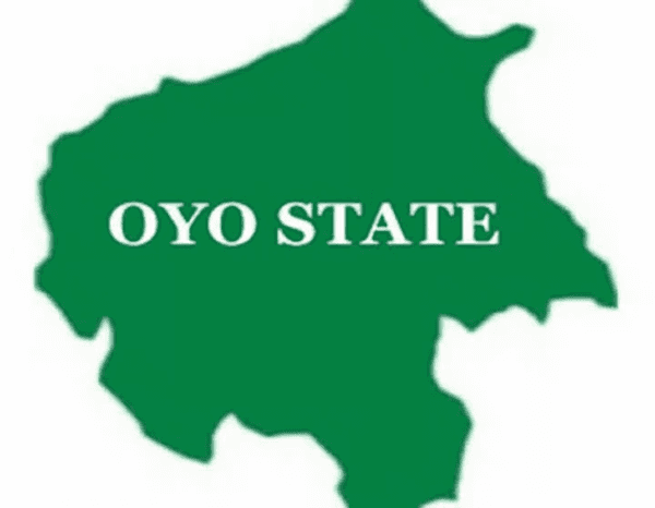 One killed, one missing as wild elephant invades Oyo community