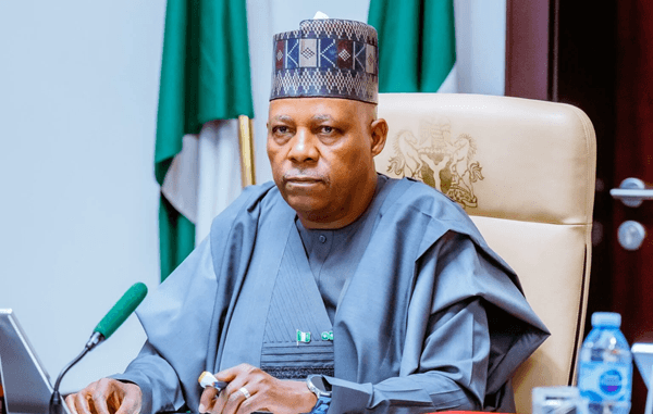 Nigeria committed to protecting human rights amid security challenges – Shettima