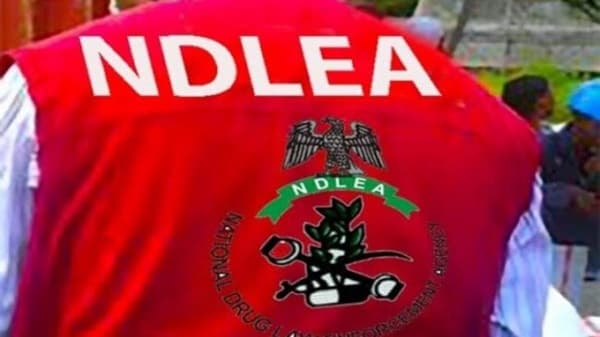 NDLEA secures forfeiture of N33.6b opioids intercepted at Onne Port