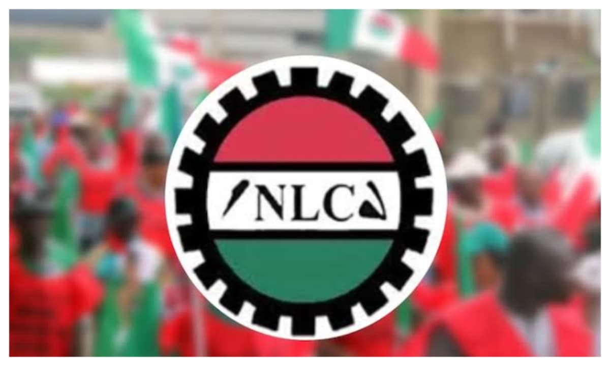NLC's insistence on eating the seed and expecting a harvest is metaphor for absurdity