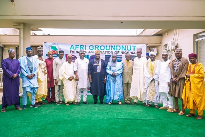 Fed govt partners AGFAN to revive groundnut economy, drive growth