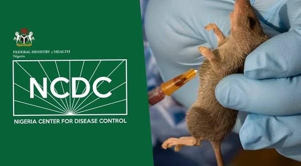 Oyo confirms Lassa fever case, activates emergency response