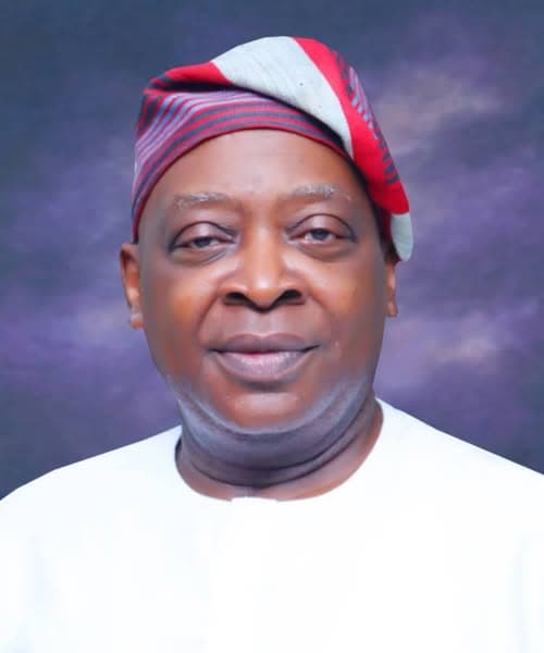 Afenifere leader's son, Fasoranti, declares for Ondo Central Senate seat
