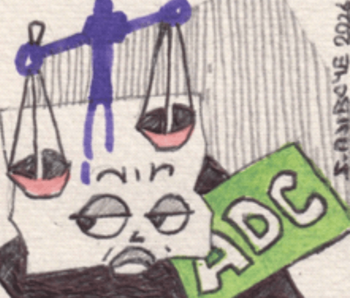 INEC, ADC raise judicial eyebrows