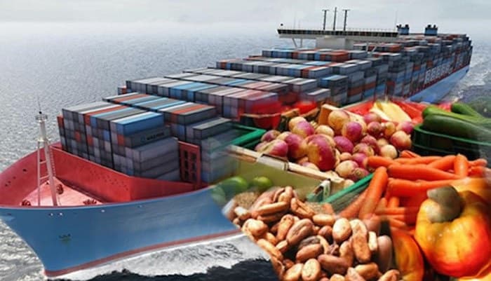 Economists: Nigeria shifting from oil to non-oil economy