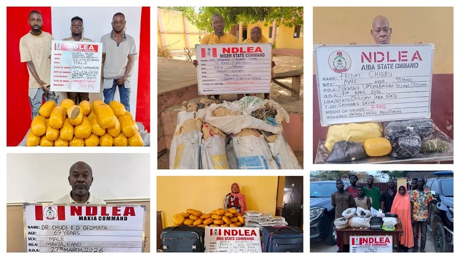 NDLEA arrests 93-year-old great grandpa, medical doctor for skunk, cocaine, trafficking