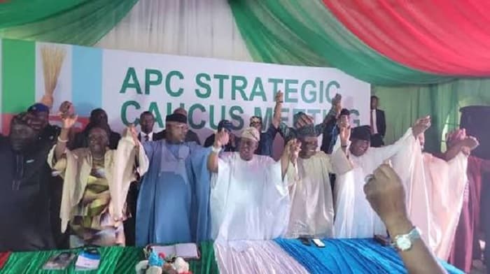 Adeola becomes Ogun APC consensus candidate as Hamzat holds firm in Lagos
