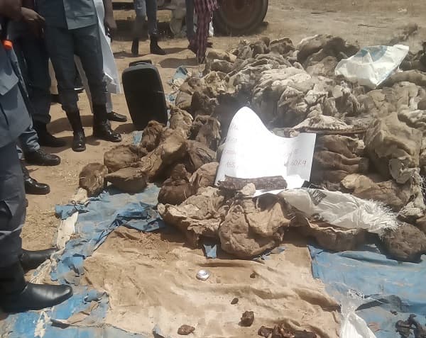 Customs seizes N98m worth of petrol, clothes, donkey skin in Adamawa, Taraba