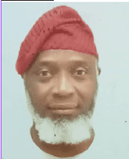 Bankole-Hameed: Those opposing Tinubu will fail