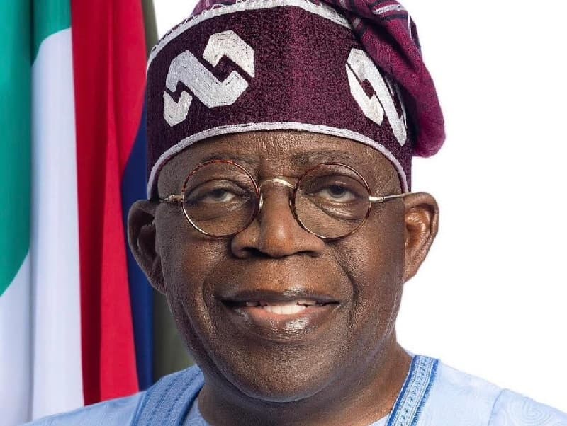 TSG partners pro-Tinubu groups for 2027 re-election bid