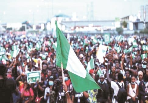 If roses grew in sewers