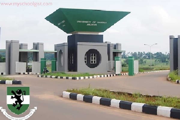 Ortuanya: Confronting UNN’s deep-rooted ruins