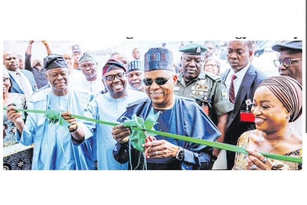 Shettima: we won’t gamble with energy security