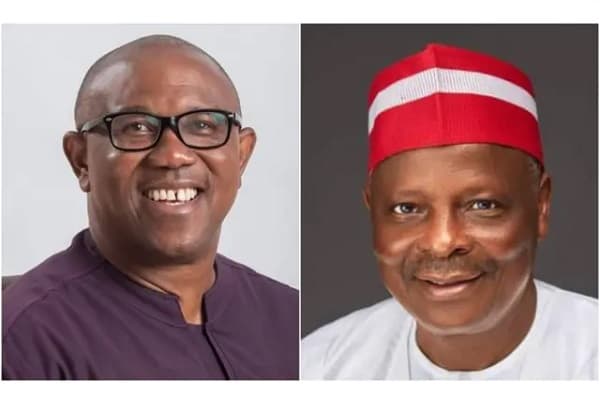 Obi and Kwankwaso: A political marriage of fire and fuel