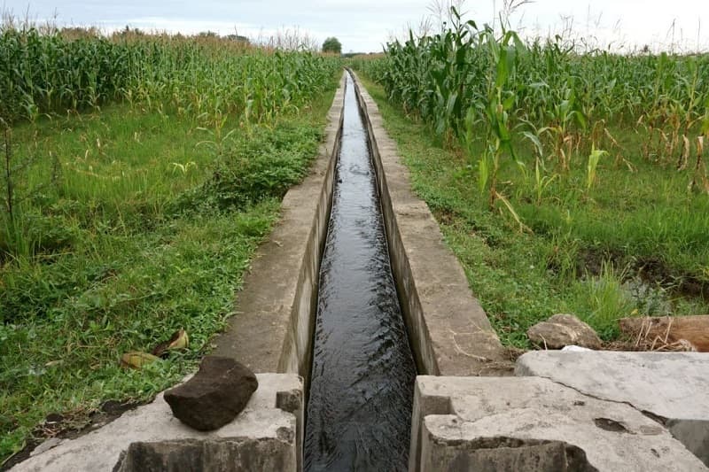 Nigeria, others step up irrigation investment